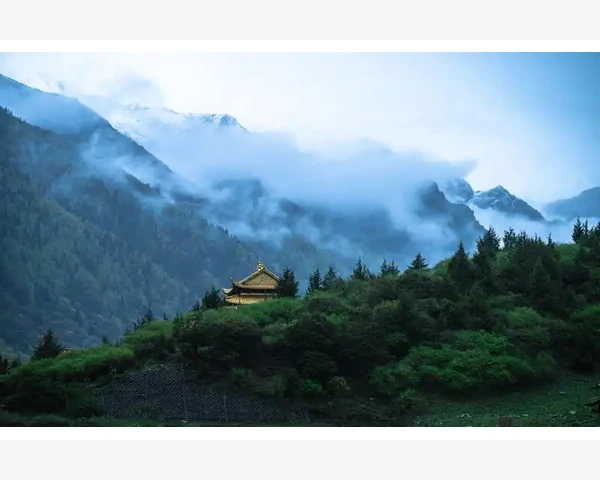 B2B会员费如何影响企业采购成本